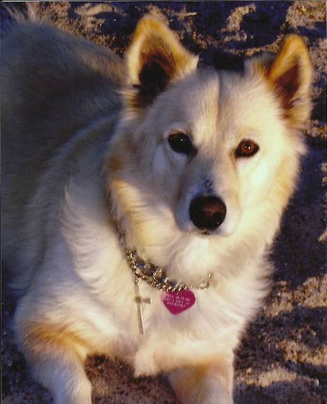 Chula