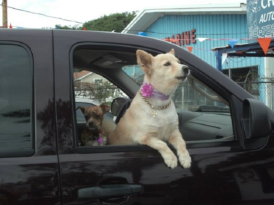 Chula and Shakira Chula and Shakira